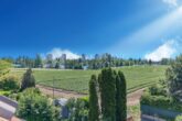 "DIREKT EINZIEHEN" Charmantes und familienfreundliches RMH in Ludwigshafen-Melm mit Seeblick! - Aussicht