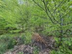 Solides MFH mit großem Garten – 3 Einheiten – 304 m² – 1.471 m² Grundstück in Nohfelden - IMG_7659